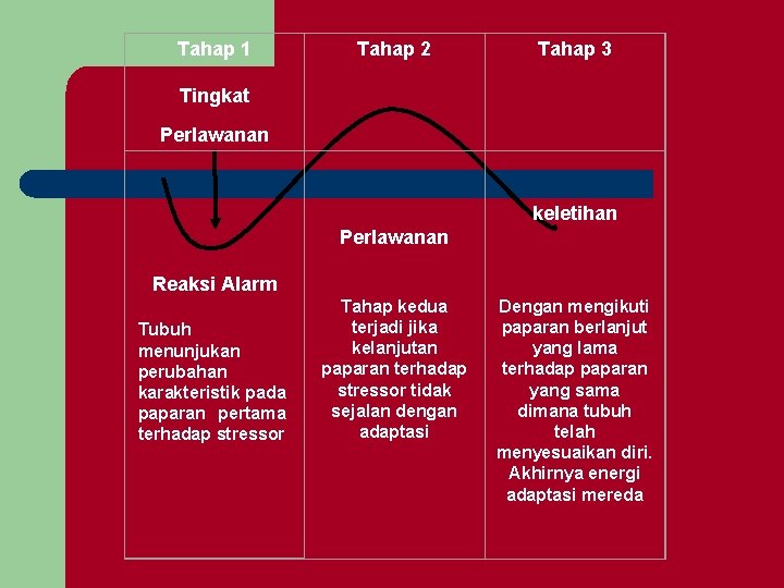 Tahap 1 Tingkat Tahap 2 Tahap 3 keletihan Perlawanan Reaksi Alarm Perlawanan Tubuh menunjukan