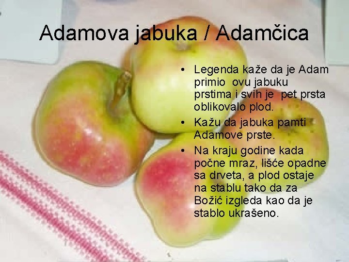 Adamova jabuka / Adamčica • Legenda kaže da je Adam primio ovu jabuku prstima