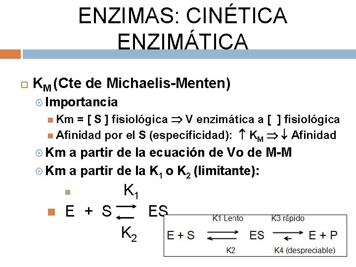 ENZIMAS: CINÉTICA ENZIMÁTICA KM (Cte de Michaelis-Menten) Importancia = [ S ] fisiológica V