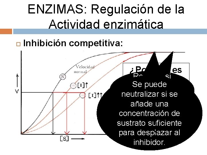 ENZIMAS: Regulación de la Actividad enzimática Inhibición competitiva: ¿Por qué es Revierte si reversible?