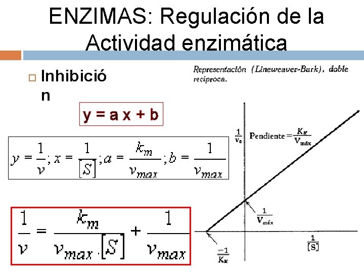 ENZIMAS: Regulación de la Actividad enzimática Inhibició n y=ax+b 