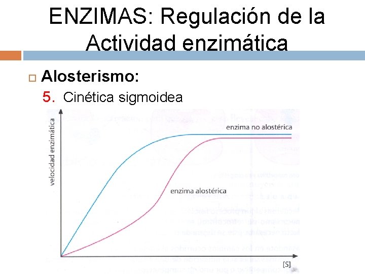 ENZIMAS: Regulación de la Actividad enzimática Alosterismo: 5. Cinética sigmoidea 