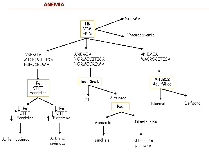 ANEMIA NORMAL Hb VCM HCM “Pseudoanemia” ANEMIA MICROCITICA HIPOCROMA ANEMIA NORMOCITICA NORMOCROMA Fe CTFF