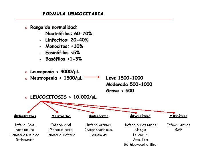 FORMULA LEUCOCITARIA Neutrófilos Linfocitos Monocitos Eosinófilos Basófilos Infecc. Bact. Autoinmune Leucemia mieloide Inflamación Infecc.