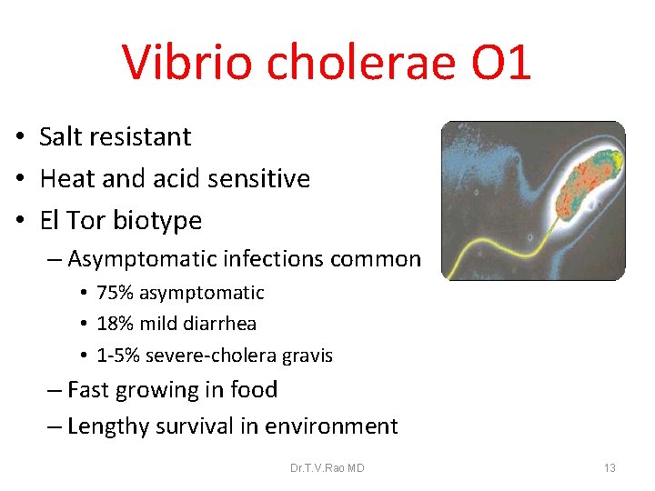 Vibrio cholerae O 1 • Salt resistant • Heat and acid sensitive • El