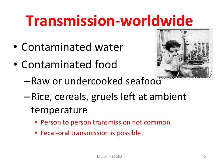 Transmission-worldwide • Contaminated water • Contaminated food – Raw or undercooked seafood – Rice,