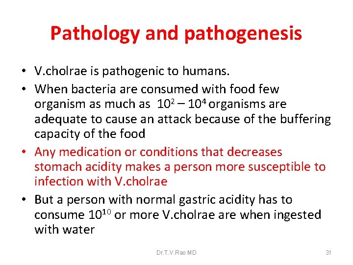 Pathology and pathogenesis • V. cholrae is pathogenic to humans. • When bacteria are