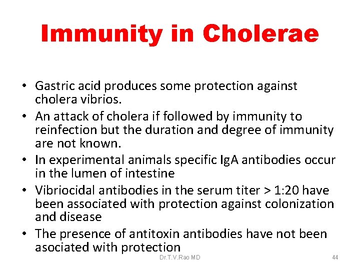 Immunity in Cholerae • Gastric acid produces some protection against cholera vibrios. • An