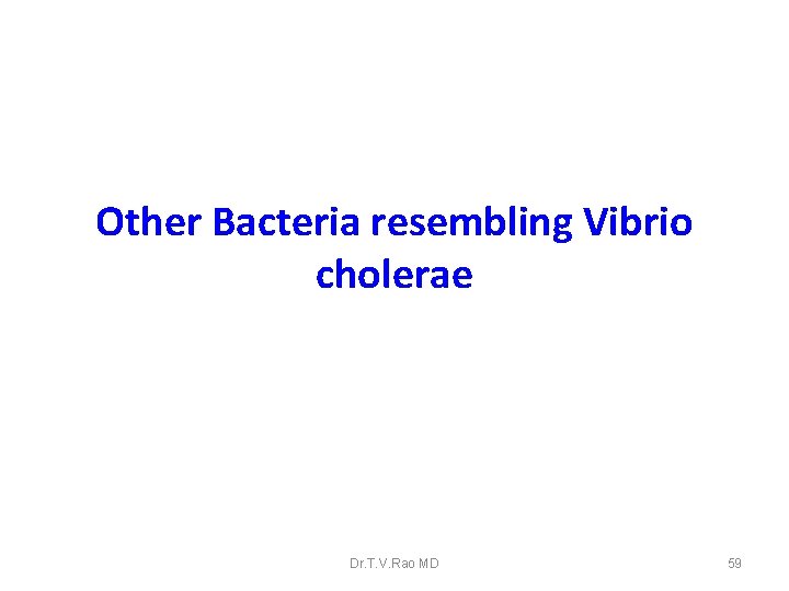 Other Bacteria resembling Vibrio cholerae Dr. T. V. Rao MD 59 