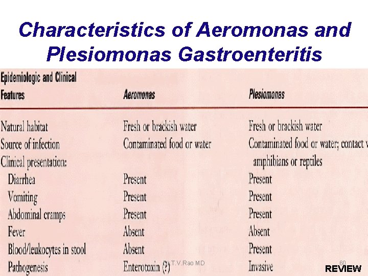 Characteristics of Aeromonas and Plesiomonas Gastroenteritis Dr. T. V. Rao MD 60 REVIEW 