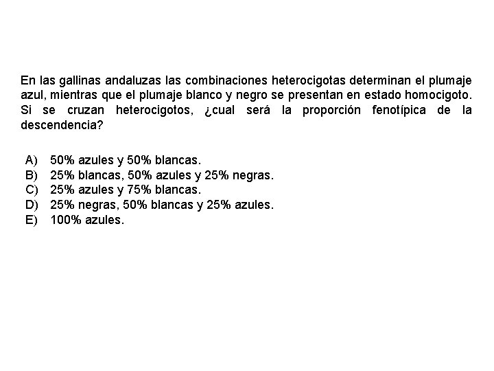 En las gallinas andaluzas las combinaciones heterocigotas determinan el plumaje azul, mientras que el