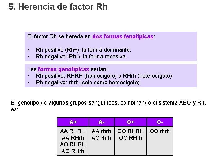 5. Herencia de factor Rh El factor Rh se hereda en dos formas fenotípicas: