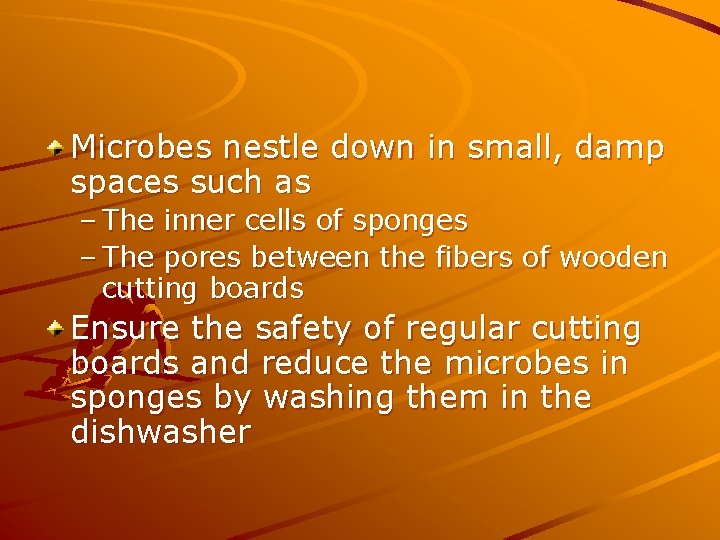 Microbes nestle down in small, damp spaces such as – The inner cells of