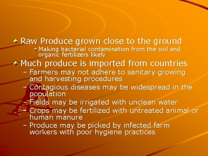 Raw Produce grown close to the ground Making bacterial contamination from the soil and