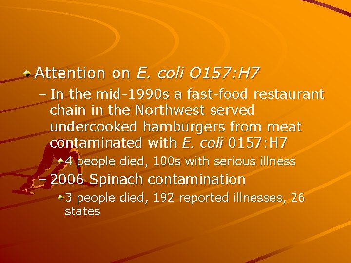 Attention on E. coli O 157: H 7 – In the mid-1990 s a