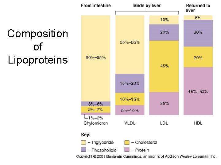 Composition of Lipoproteins 