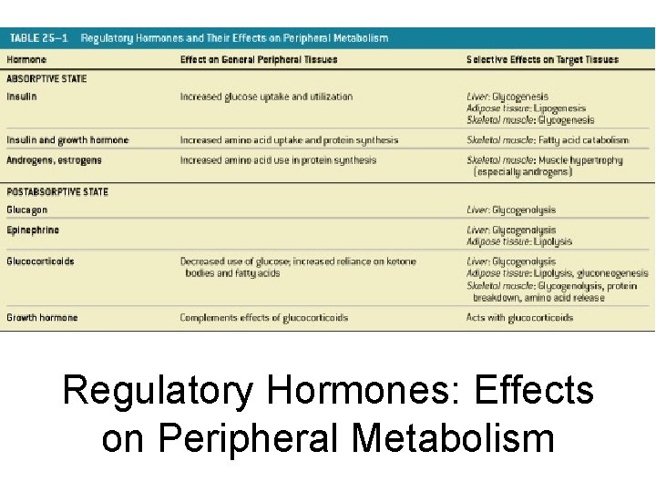 Regulatory Hormones: Effects on Peripheral Metabolism Table 25– 1 