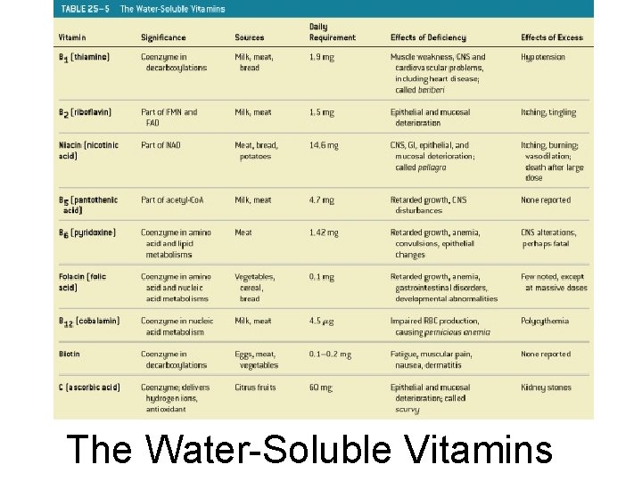 The Water-Soluble Vitamins Table 25– 5 