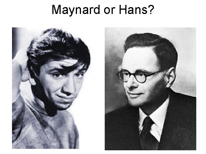 Maynard or Hans? 