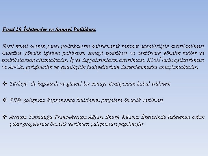 Fasıl 20 -İşletmeler ve Sanayi Politikası Fasıl temel olarak genel politikaların belirlenerek rekabet edebilirliğin