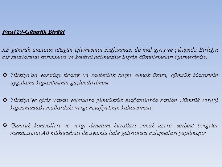 Fasıl 29 -Gümrük Birliği AB gümrük alanının düzgün işlemesinin sağlanması ile mal giriş ve