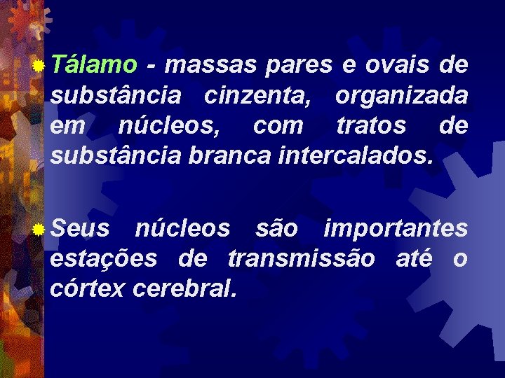 ® Tálamo - massas pares e ovais de substância cinzenta, organizada em núcleos, com