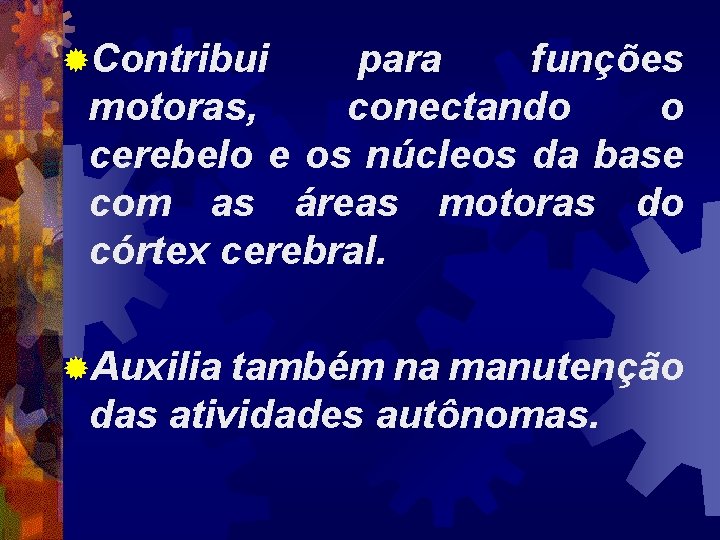 ®Contribui para funções motoras, conectando o cerebelo e os núcleos da base com as