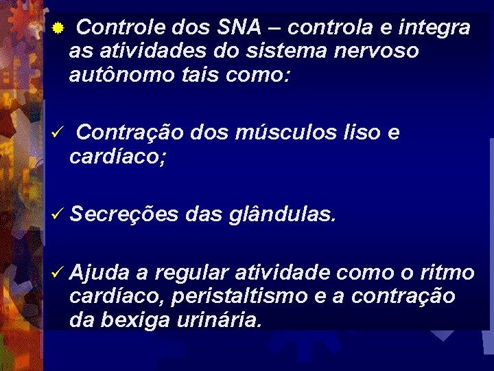 ® Controle dos SNA – controla e integra as atividades do sistema nervoso autônomo
