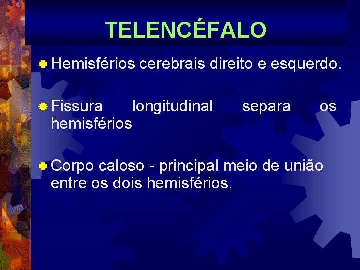 TELENCÉFALO ® Hemisférios ® Fissura cerebrais direito e esquerdo. longitudinal hemisférios ® Corpo separa