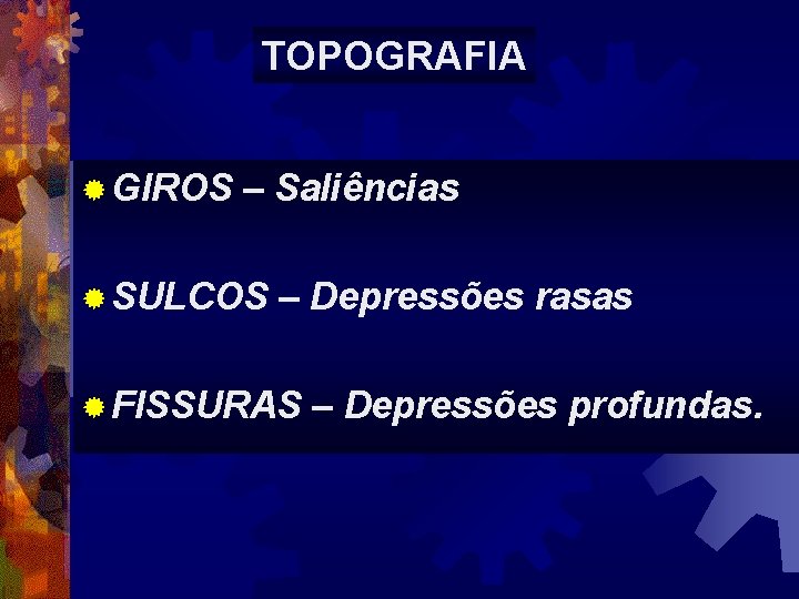 TOPOGRAFIA ® GIROS – Saliências ® SULCOS – Depressões rasas ® FISSURAS – Depressões