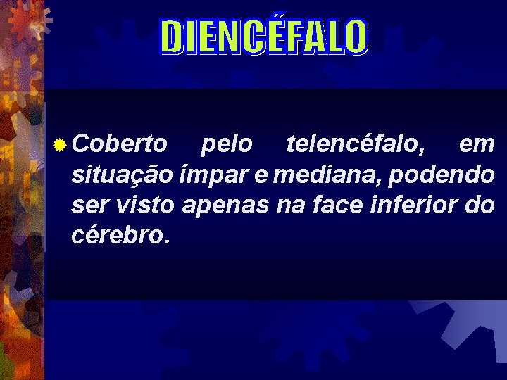 ® Coberto pelo telencéfalo, em situação ímpar e mediana, podendo ser visto apenas na