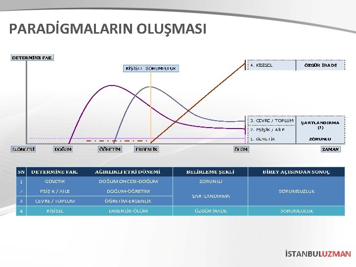 PARADİGMALARIN OLUŞMASI İSTANBULUZMAN 