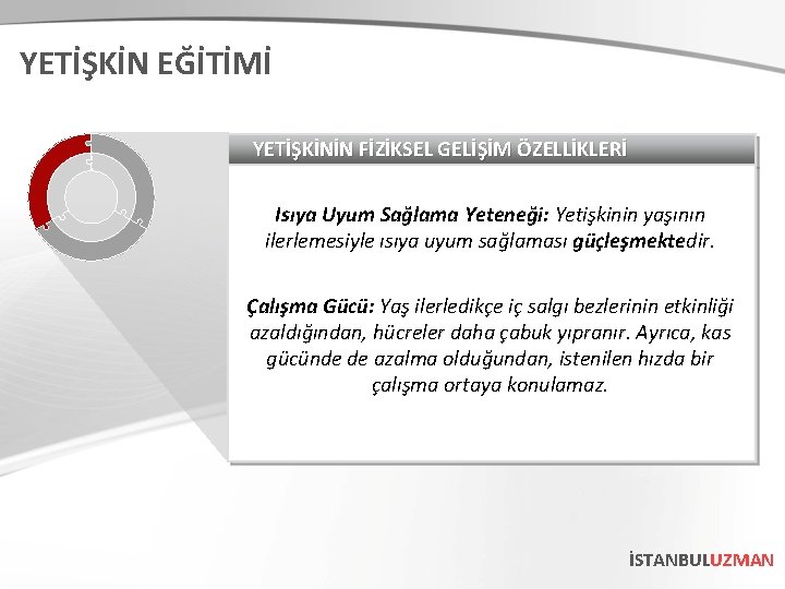 YETİŞKİN EĞİTİMİ YETİŞKİNİN FİZİKSEL GELİŞİM ÖZELLİKLERİ Isıya Uyum Sağlama Yeteneği: Yetişkinin yaşının ilerlemesiyle ısıya