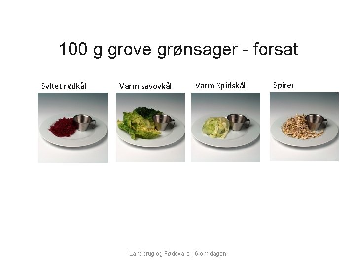 100 g grove grønsager - forsat Syltet rødkål Varm savoykål Varm Spidskål Landbrug og