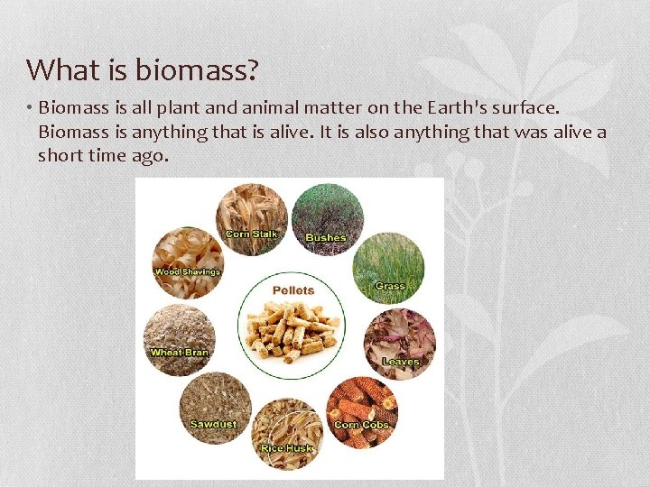 What is biomass? • Biomass is all plant and animal matter on the Earth's