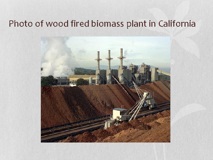 Photo of wood fired biomass plant in California 