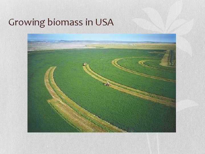 Growing biomass in USA 