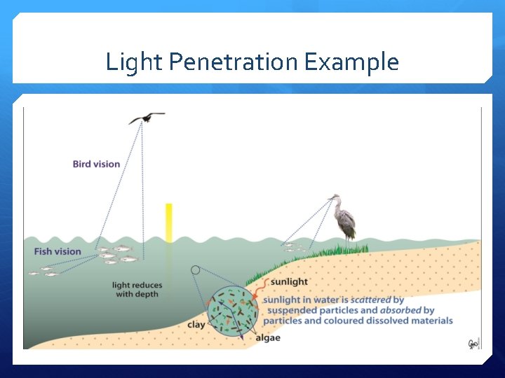 Light Penetration Example 