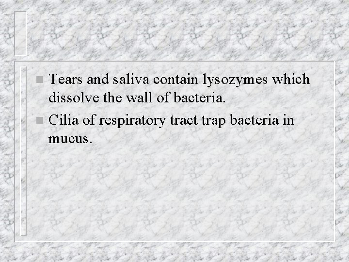 Tears and saliva contain lysozymes which dissolve the wall of bacteria. n Cilia of