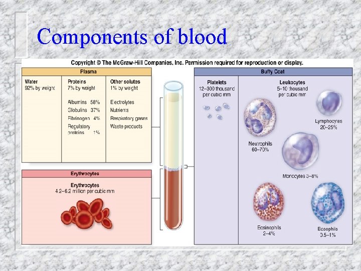 Components of blood 