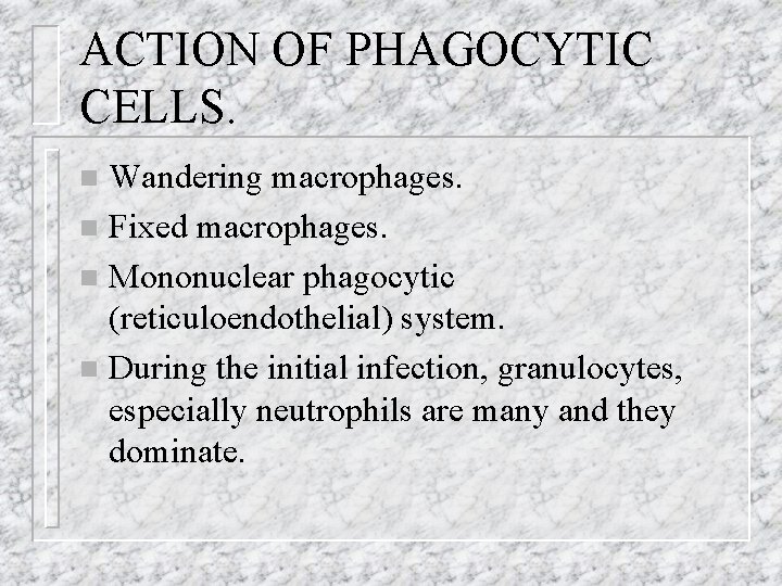 ACTION OF PHAGOCYTIC CELLS. Wandering macrophages. n Fixed macrophages. n Mononuclear phagocytic (reticuloendothelial) system.