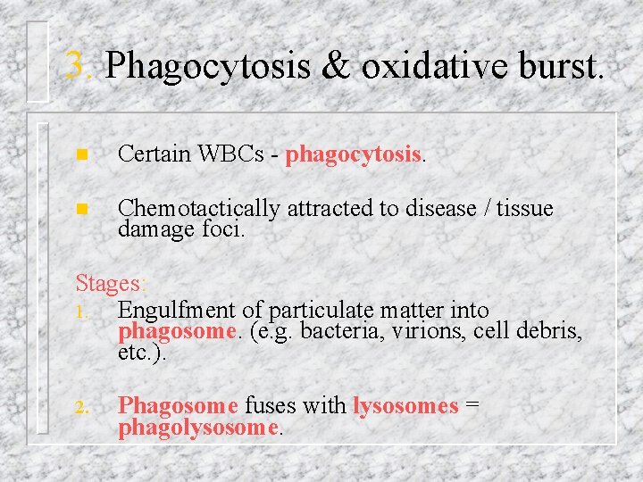 3. Phagocytosis & oxidative burst. n Certain WBCs - phagocytosis. n Chemotactically attracted to