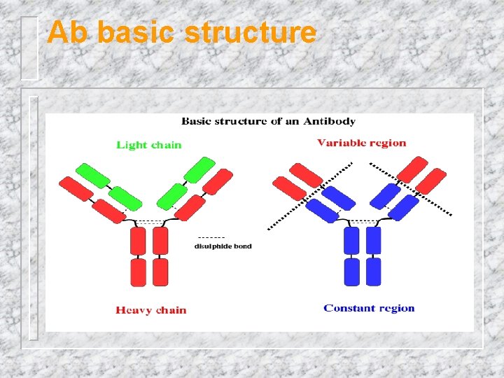 Ab basic structure domains 