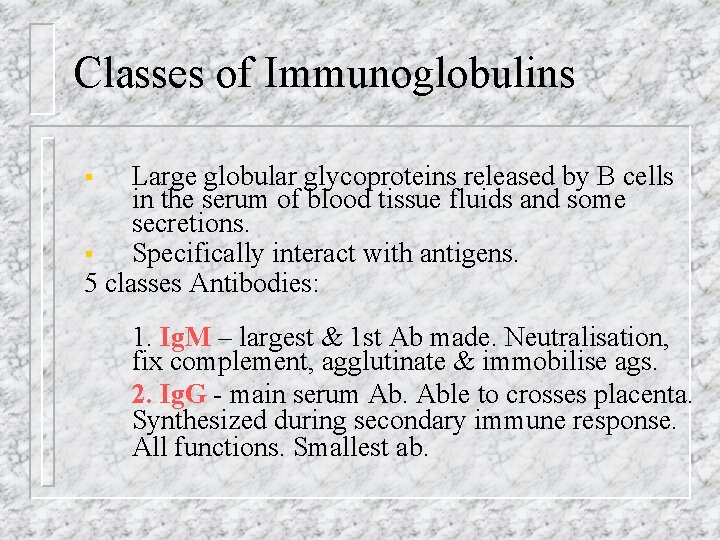 Classes of Immunoglobulins Large globular glycoproteins released by B cells in the serum of