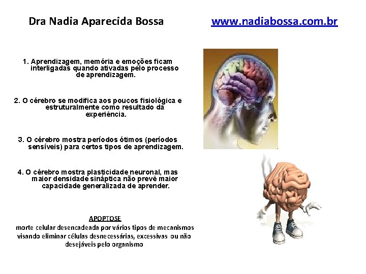 Dra Nadia Aparecida Bossa 1. Aprendizagem, memória e emoções ficam interligadas quando ativadas pelo