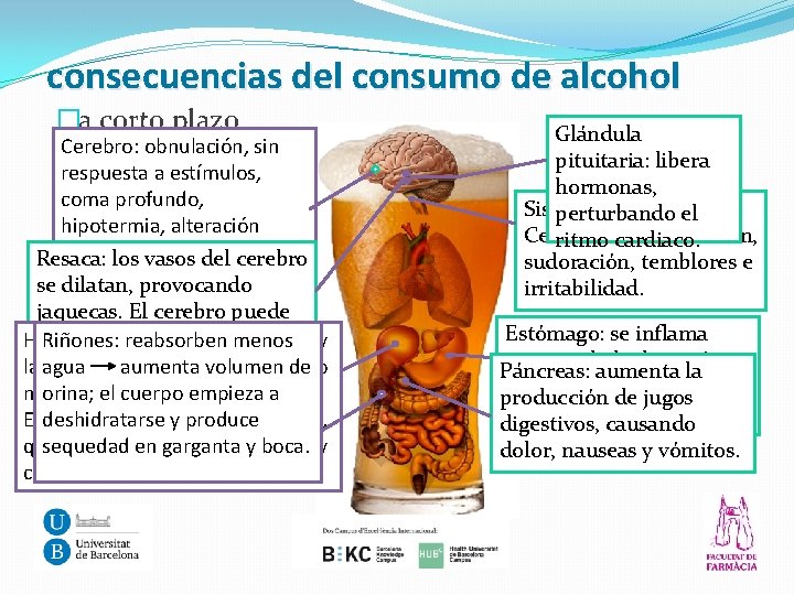 consecuencias del consumo de alcohol �a corto plazo Cerebro: obnulación, sin respuesta a estímulos,