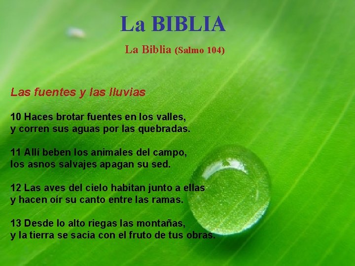 La BIBLIA La Biblia (Salmo 104) Las fuentes y las lluvias 10 Haces brotar
