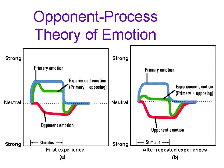 Opponent-Process Theory of Emotion Strong Neutral Strong First experience (a) After repeated experiences (b)