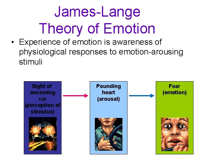 James-Lange Theory of Emotion • Experience of emotion is awareness of physiological responses to