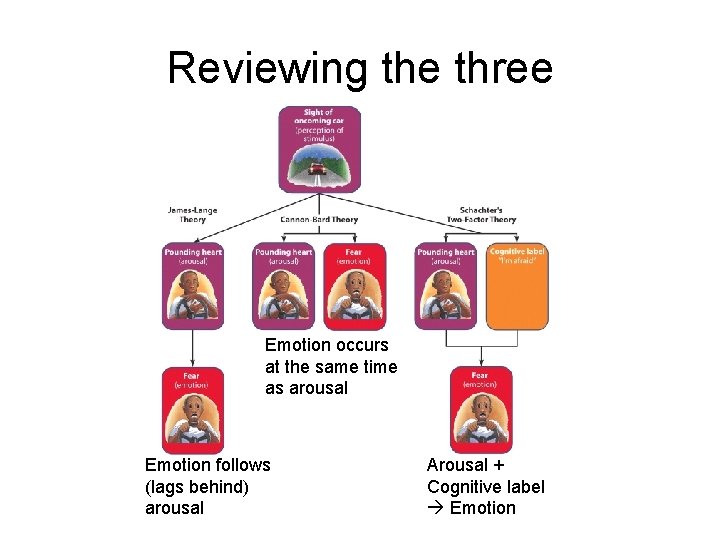 Reviewing the three Emotion occurs at the same time as arousal Emotion follows (lags